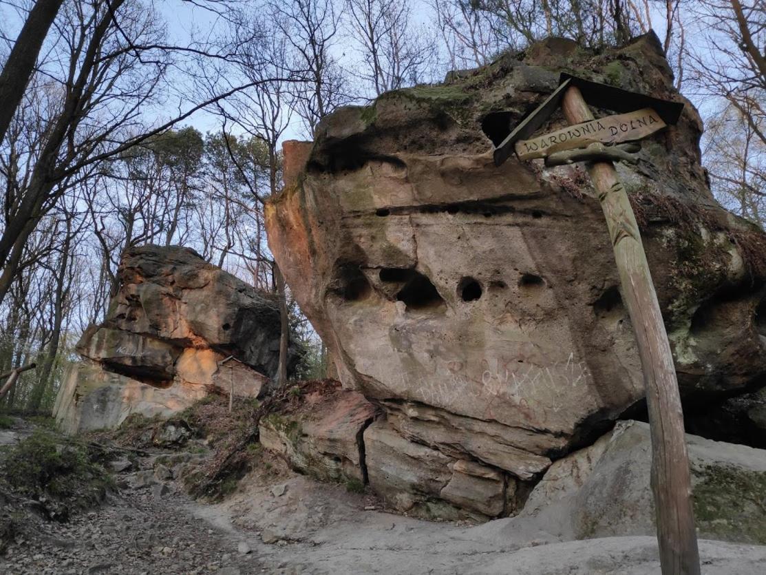 Zielony Zakatek Ciężkowice エクステリア 写真